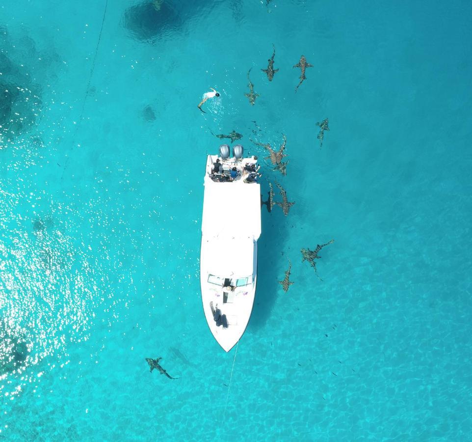 Отель Ecoboo Maldives Thinadhoo  Экстерьер фото